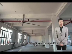 5.0M 16FT المروحة الكبيرة لدورة الهواء المثلى في المدارس والملاهي الرياضية