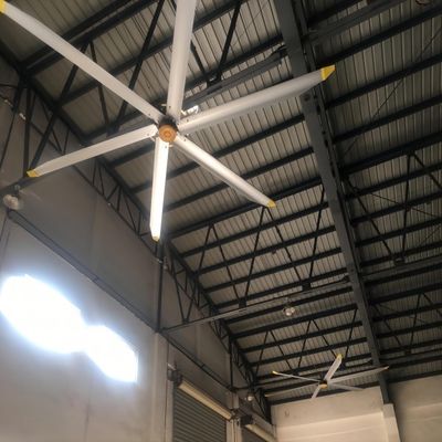 سعر جيد مروحة سقف المطعم 5.0m 16FT BLCD محرك HVLS مروحة للمستودعات الكبيرة الانترنت